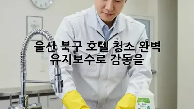울산 북구 호텔 청소✨: 완벽 유지보수로 감동을!