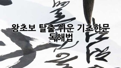 왕초보 탈출! 쉬운 기초한문 독해법