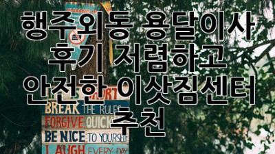 행주외동 용달이사 후기: 저렴하고 안전한 이삿짐센터 추천!