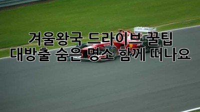 ❄️ 겨울왕국 드라이브 꿀팁 대방출! 숨은 명소 함께 떠나요 🚗