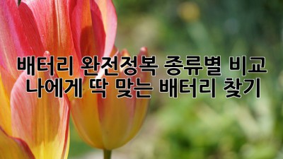배터리🔋 완전정복! 종류별 비교 & 나에게 딱 맞는 배터리 찾기!